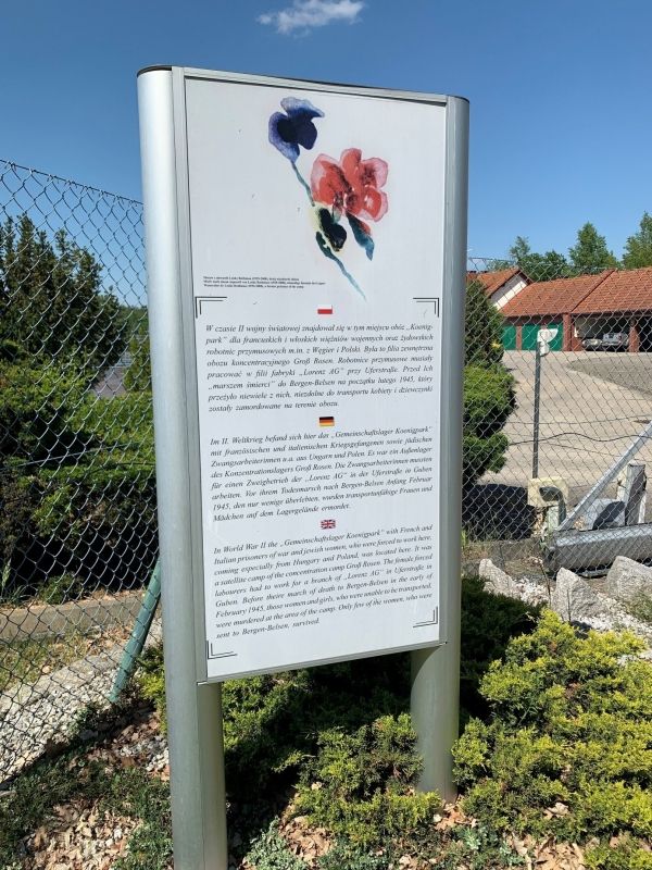 (3) Gedenktafel zur Erinnerung an die Gefangenen und Opfer des ehemaligen Gemeinschaftslagers im Koenigpark