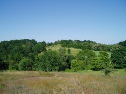 Gubener Berge (Kohlenbergwerke, ehemaliger Bismarckturm, Berg des Tods, Naturschutzgebiet D?bowiec)