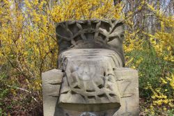 Sculpture Tree Torso (Ger. Baumtorso)