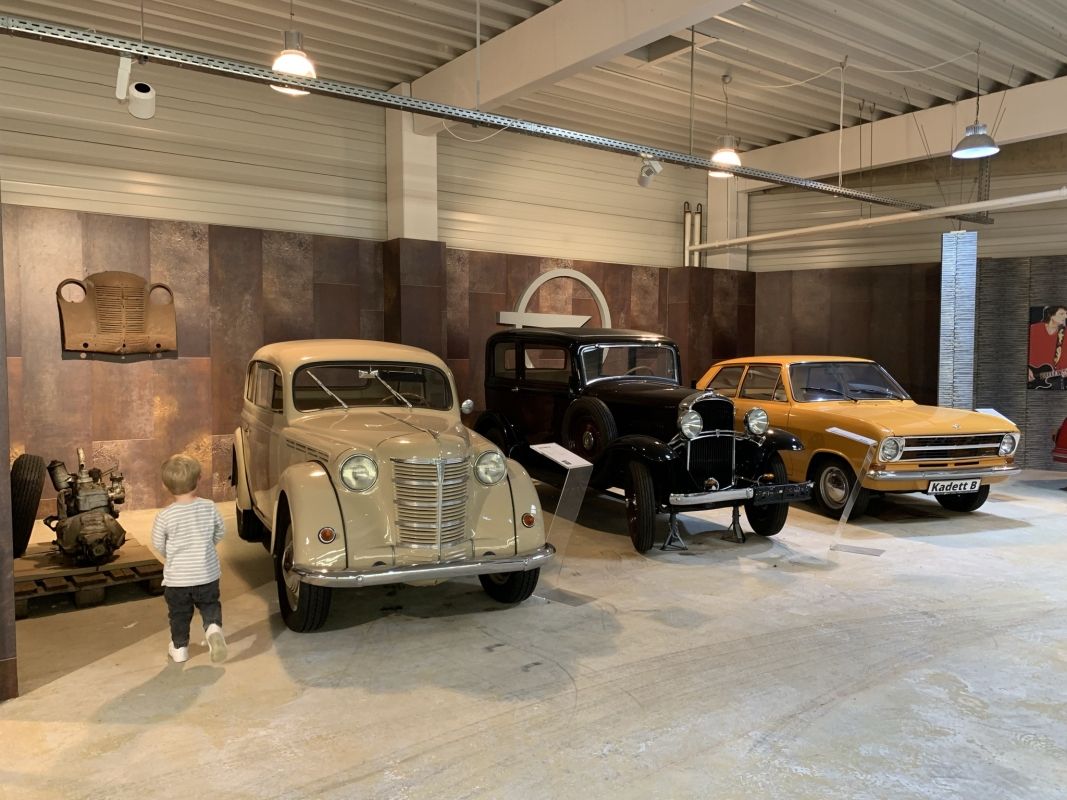 (8) Wystawa klasycznych samochodów