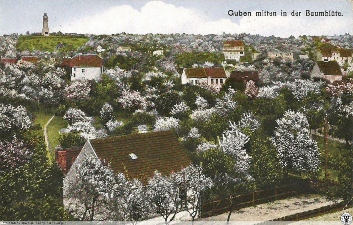 (1) Wzniesienia Gubińskie, pot. Wzgórza Gubińskie (Kopalnie węgla, dawna wieża Bismarka (teraz jedynie głaz upamiętniający)
